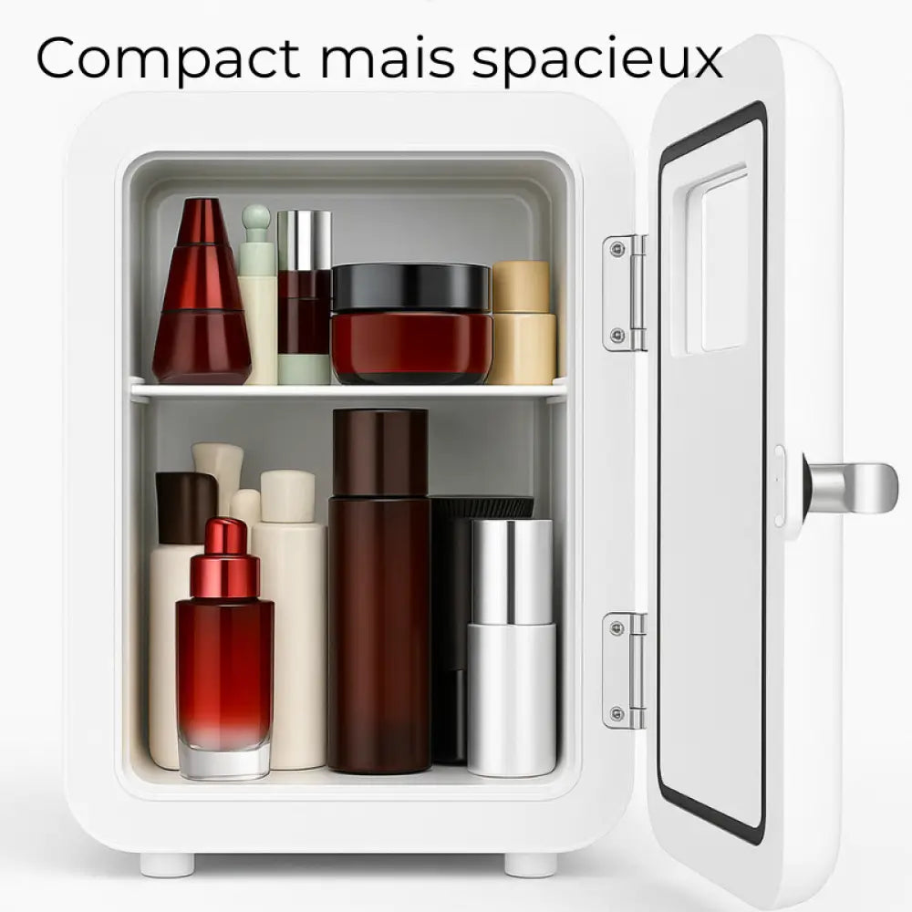 Mini Frigo pour Chambre femelle